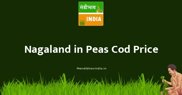 Peas Cod भाव